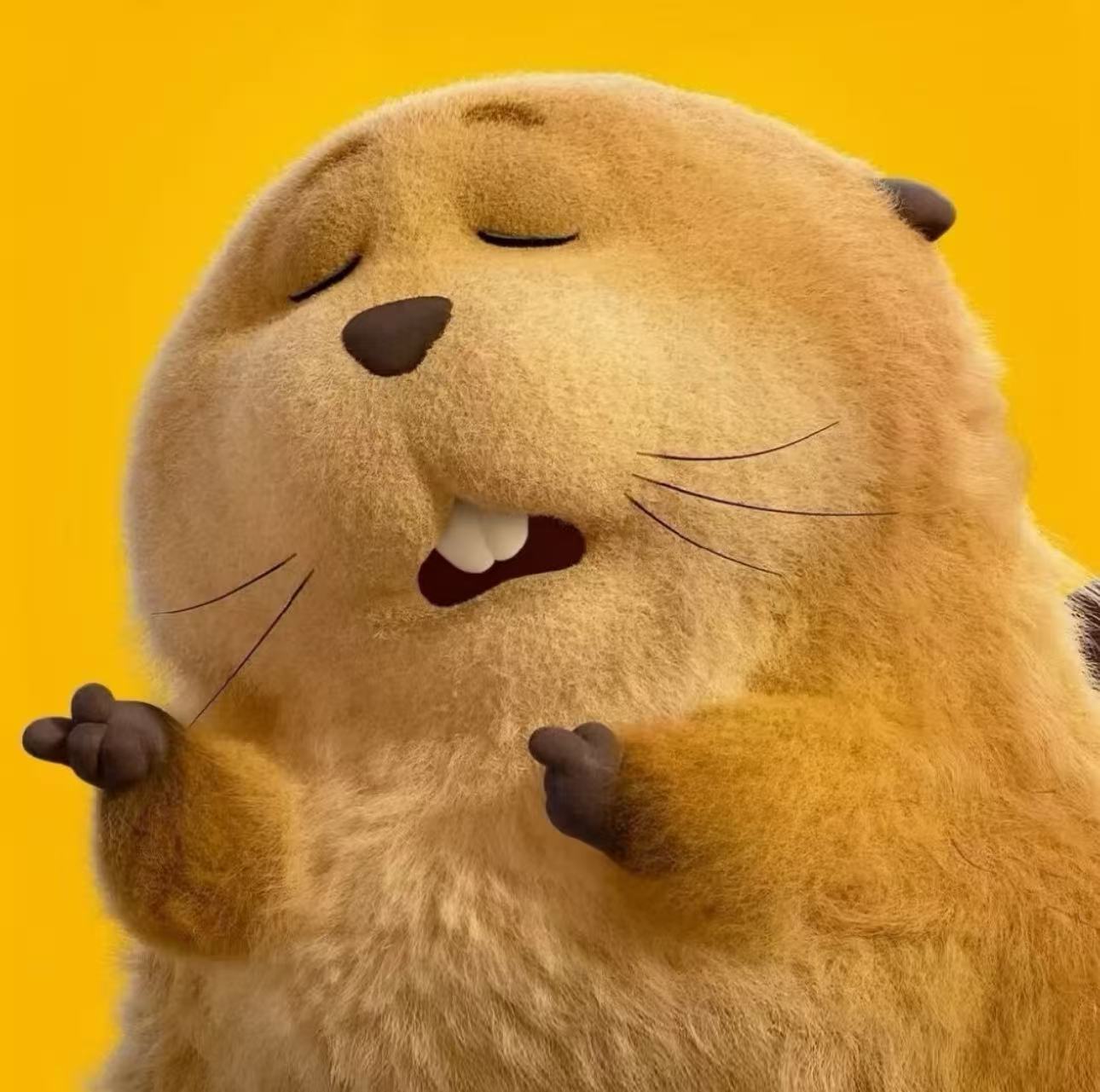 Profile photo of member 3